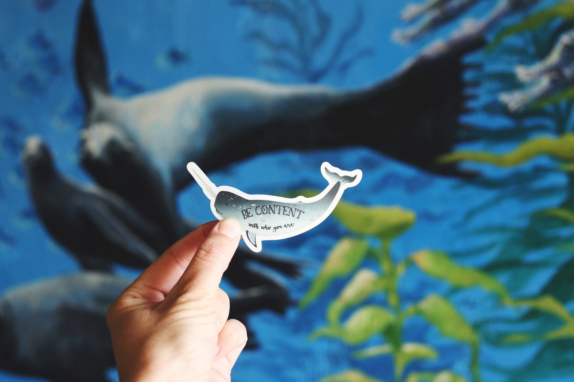 A person is holding a whale sticker in front of a painting of seals