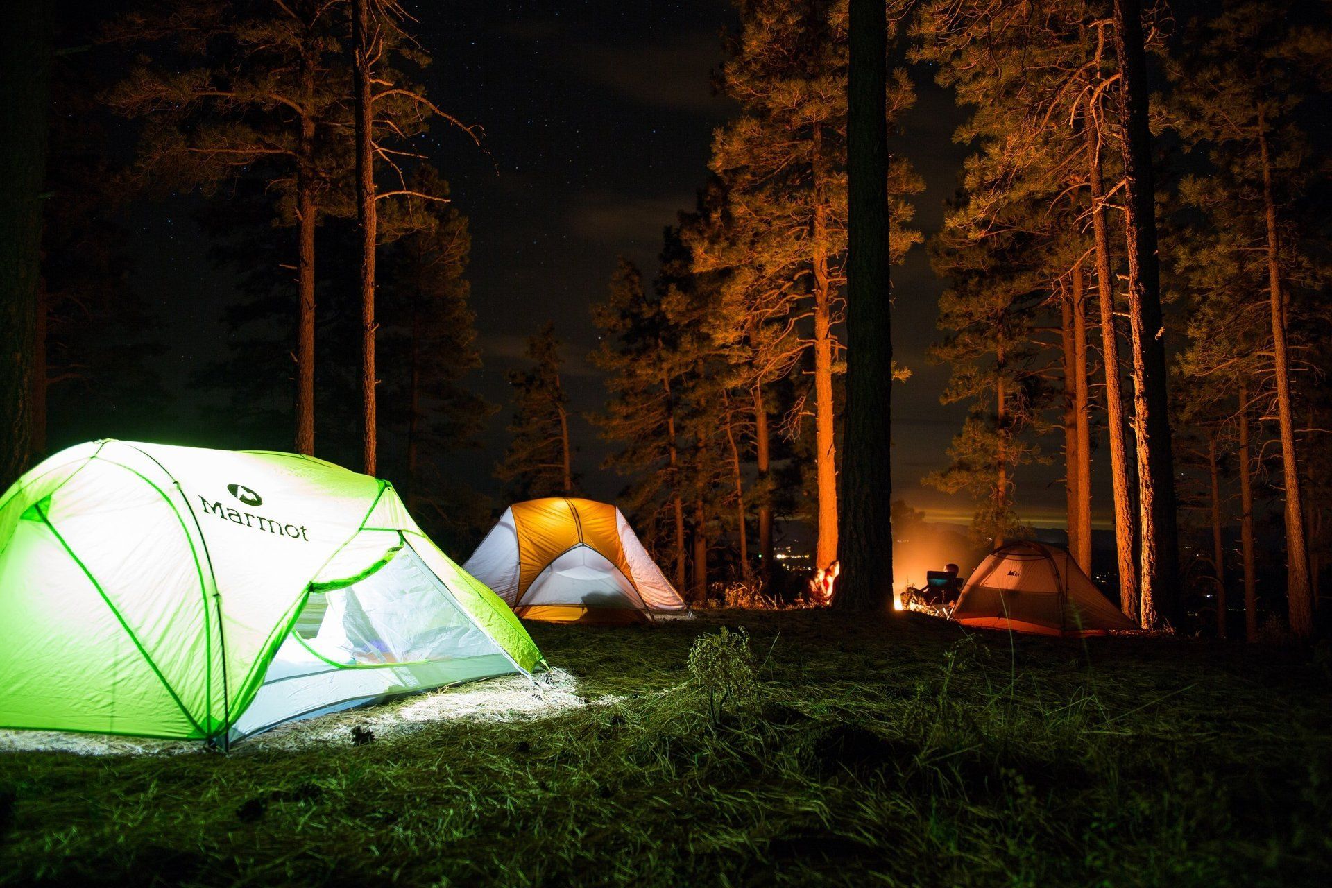 A group of tents are sitting in the middle of a forest at night.