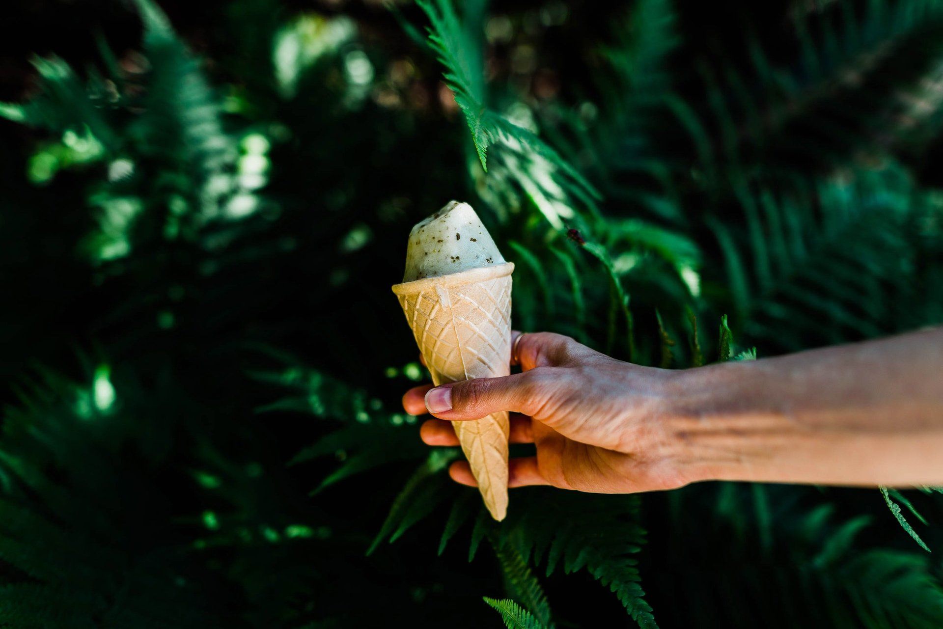 A person is holding an ice cream cone in front of a fern.