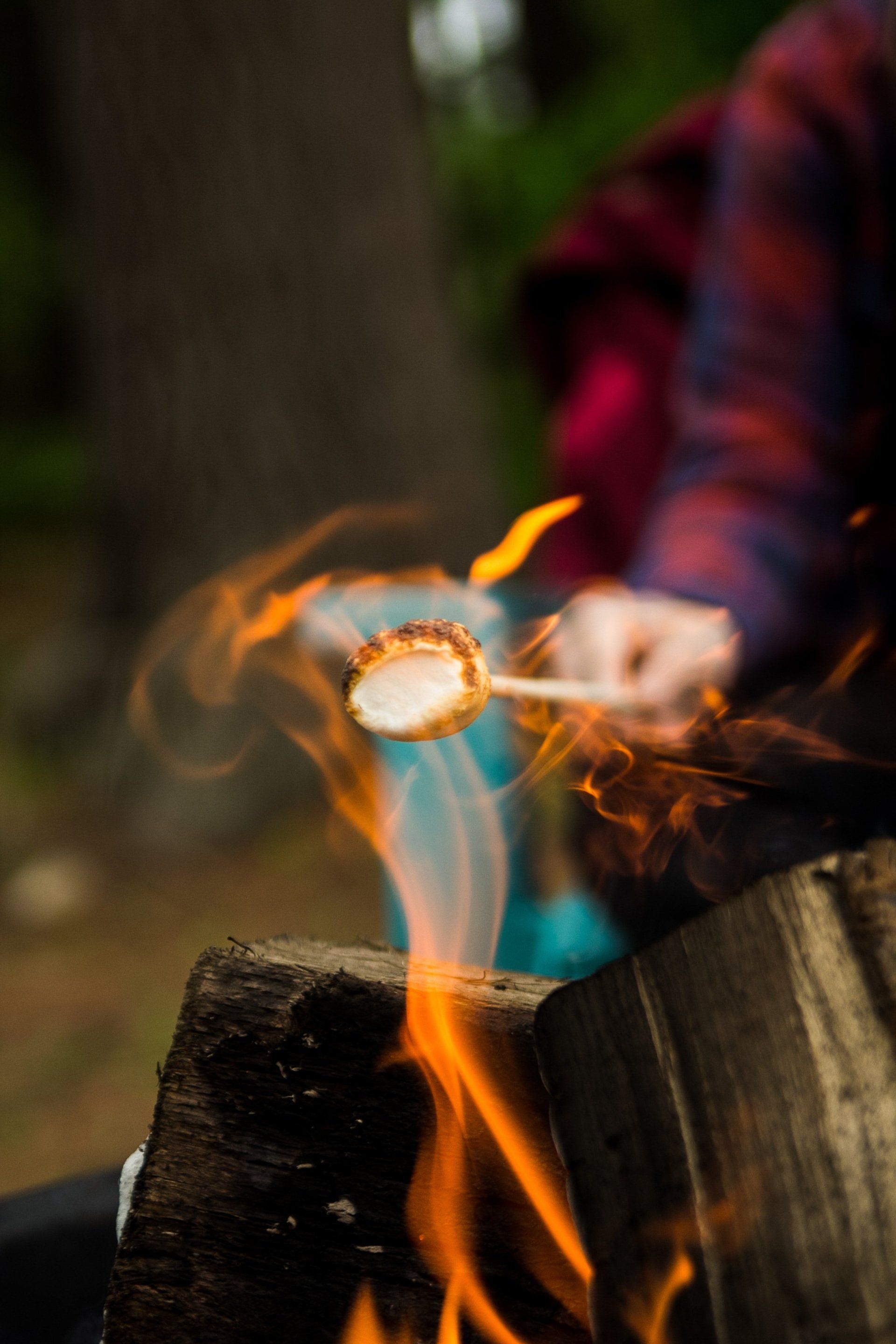 A person is roasting marshmallows over a fire.