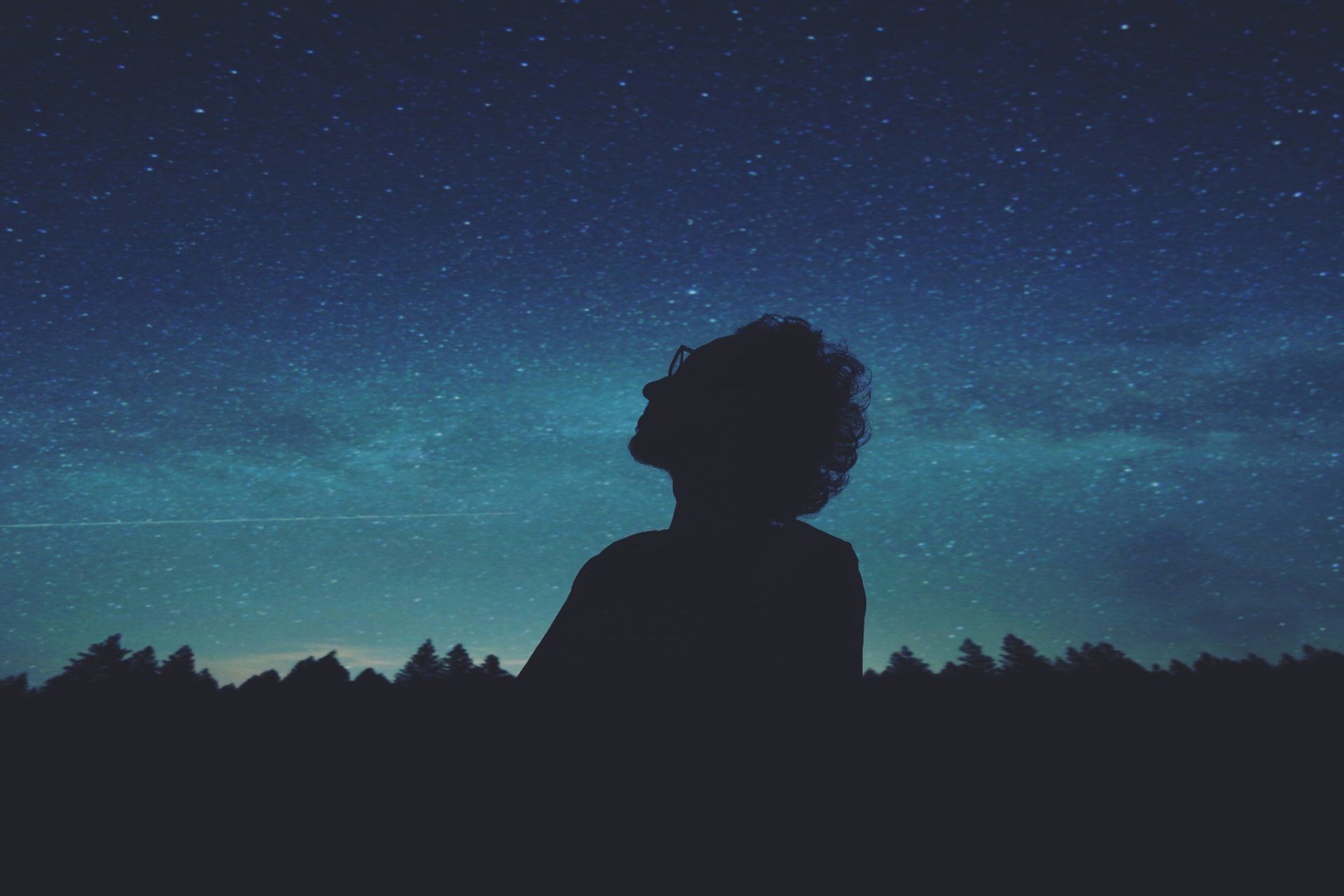 dark treeline with dark blue sky and silhouette of person looking up towards sky
