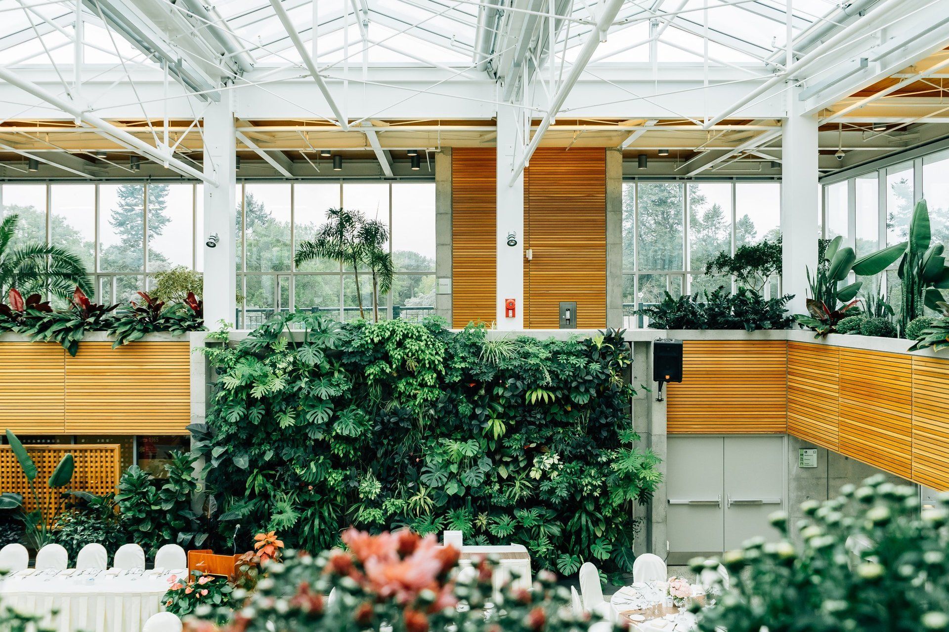 A greenhouse filled with lots of plants and flowers.
