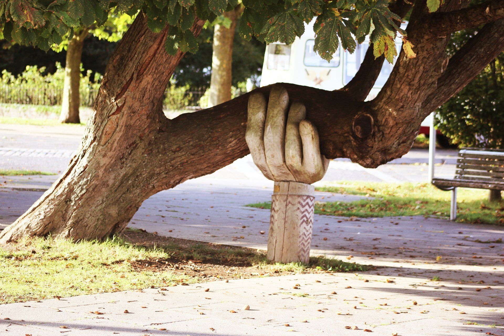 giant carved hand anchors a tree limb
