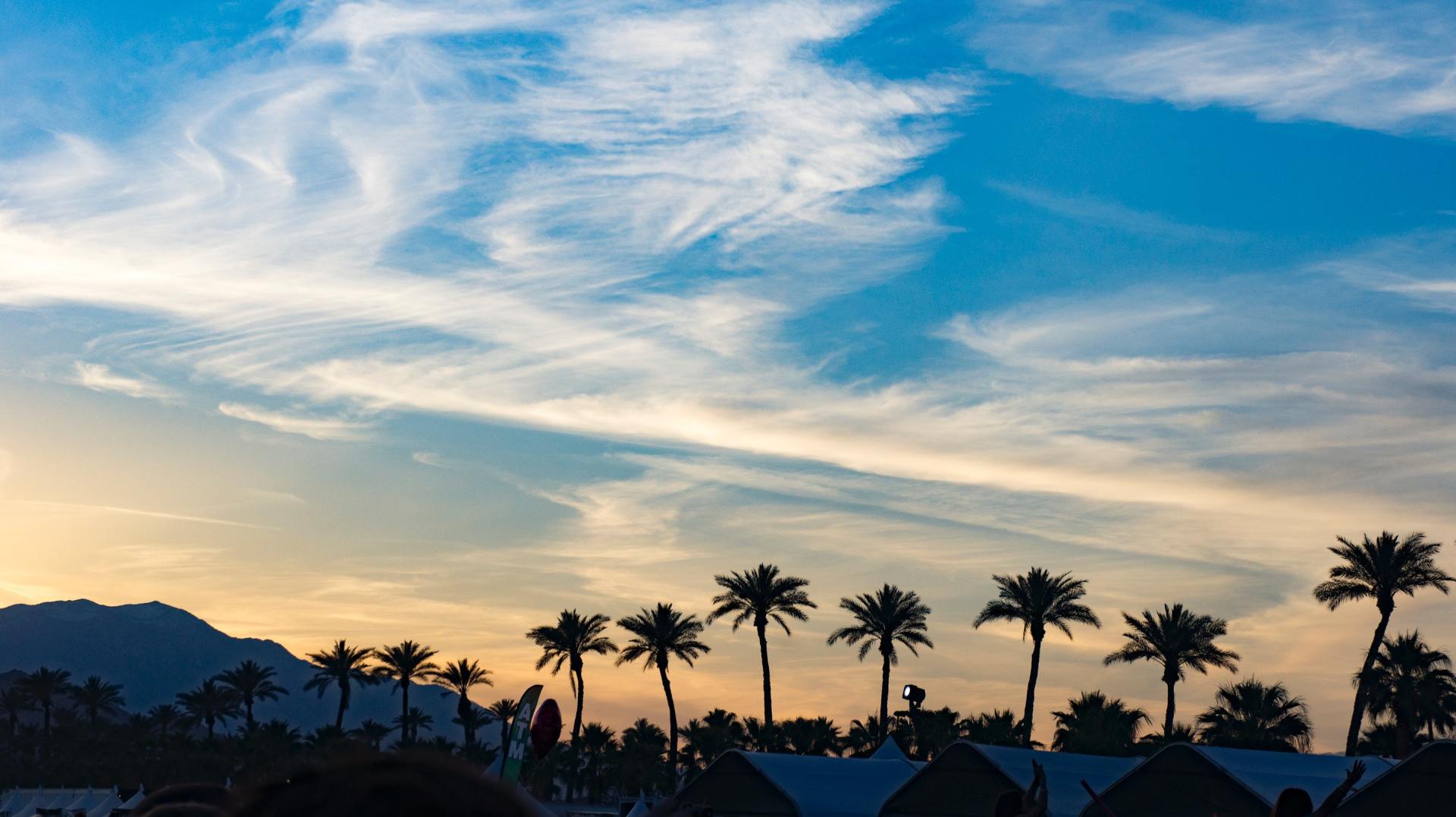 A row of palm trees silhouetted against a cloudy sky at sunset.