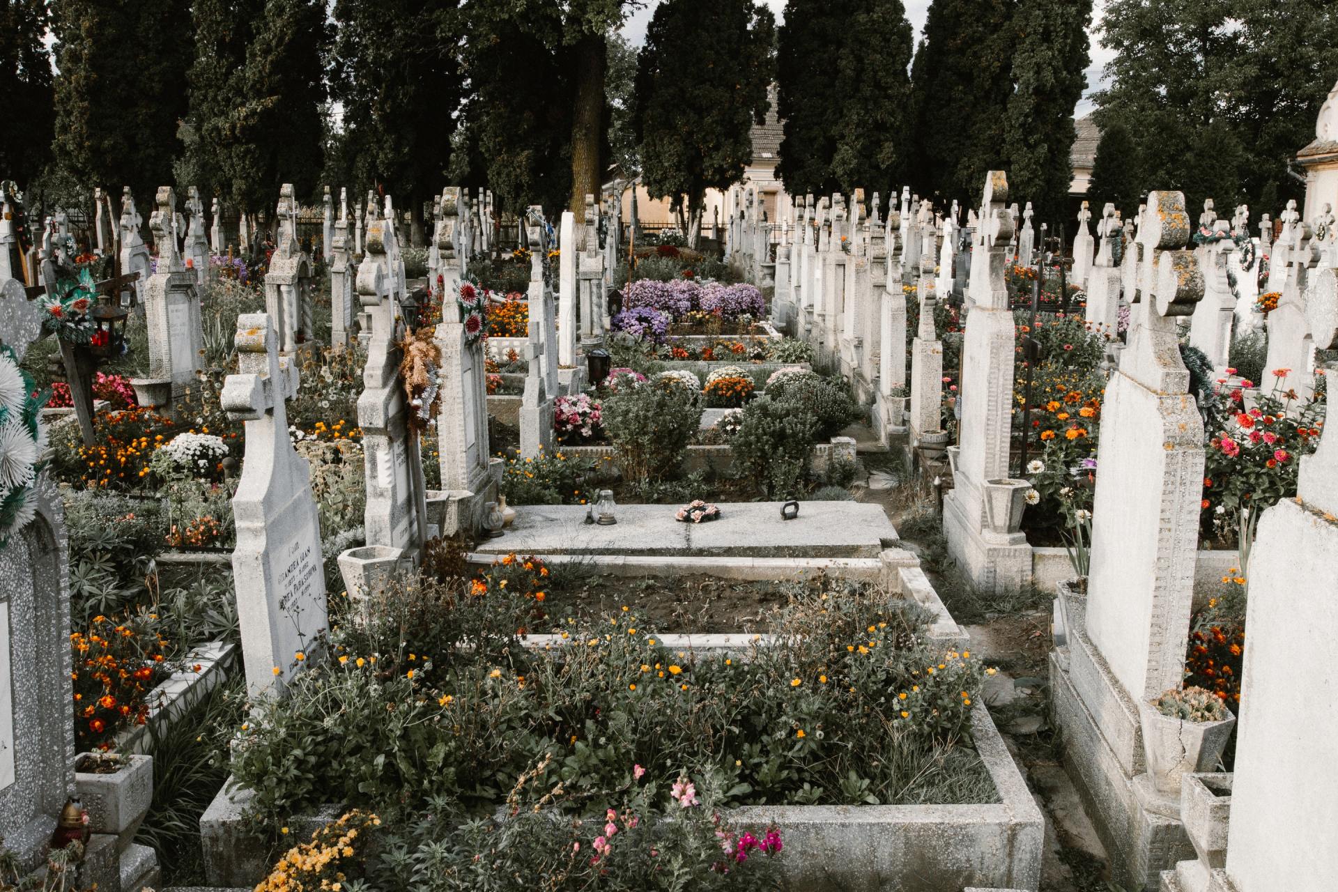white rows of tombstones or gravestones show one way the dead are honored and buried