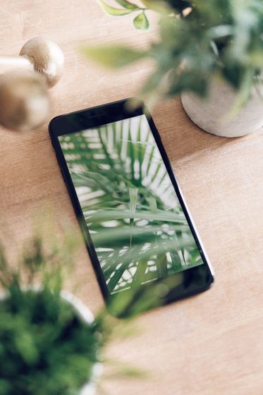 Green Plant and Mobile Phone - IoT