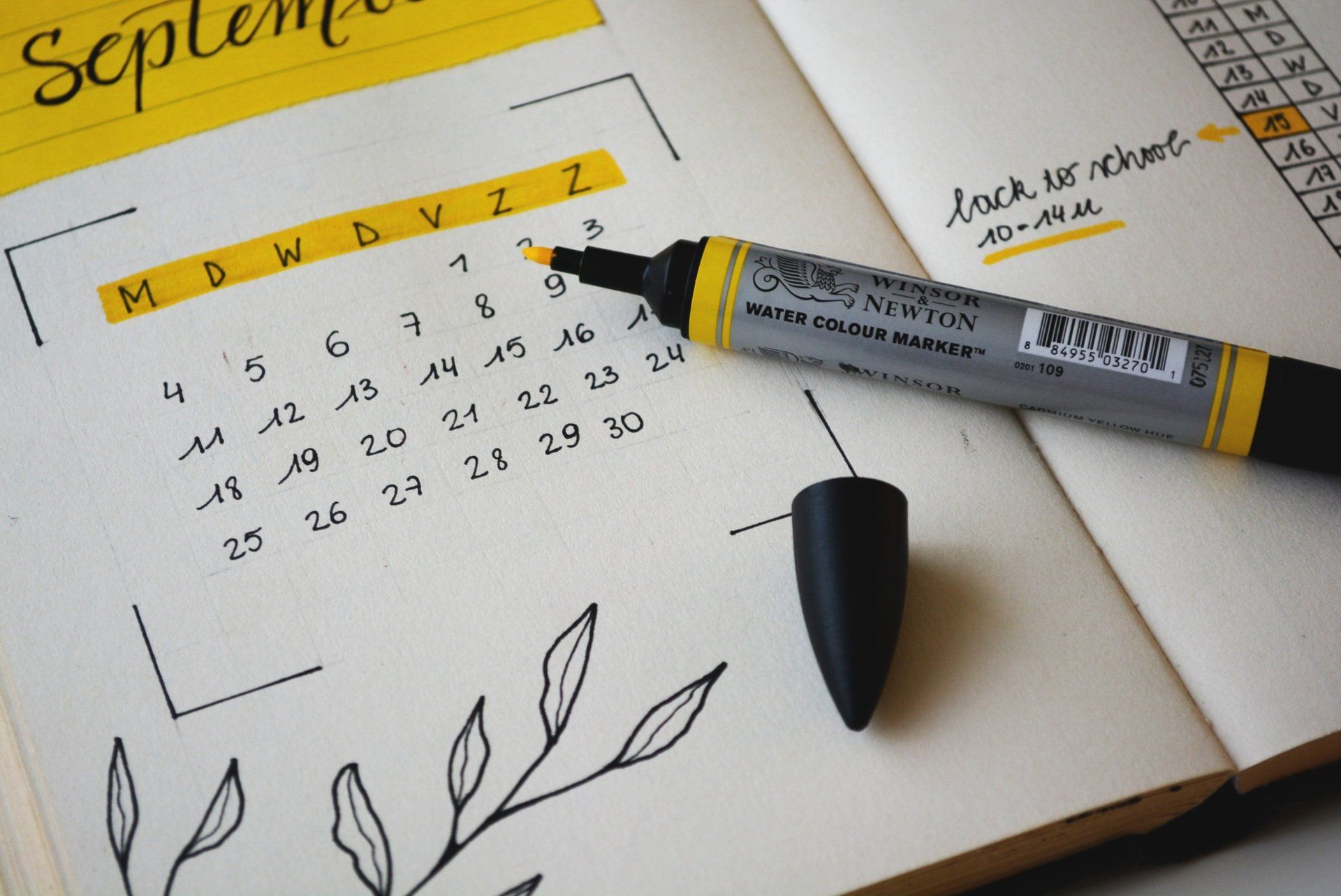 5 Reasons Blog Posts Scheduling Is Powerful and Saves Time