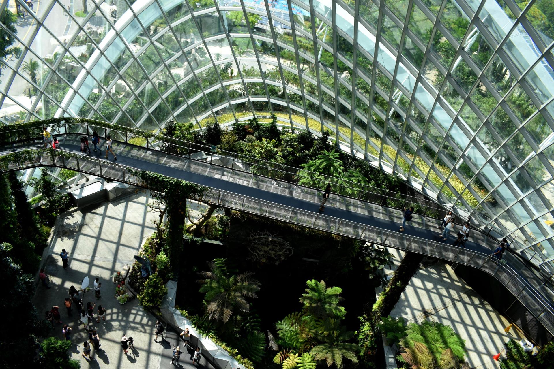 Indoor botanical garden with arched glass roof and elevated walkways over lush greenery