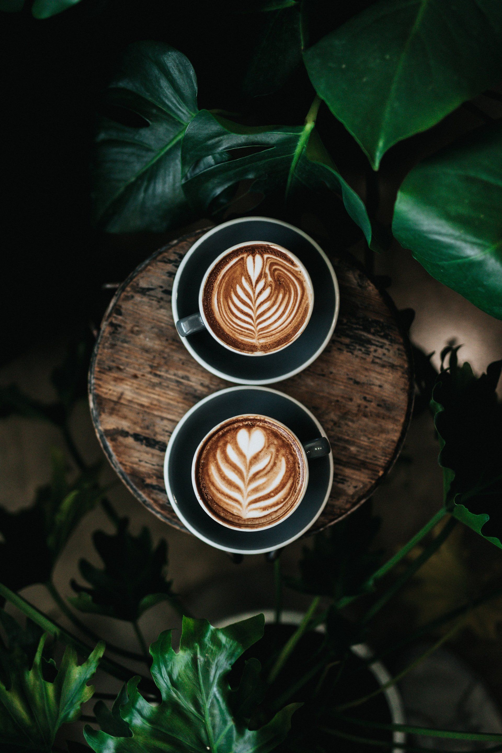 Two lattes placed on a piece of wood