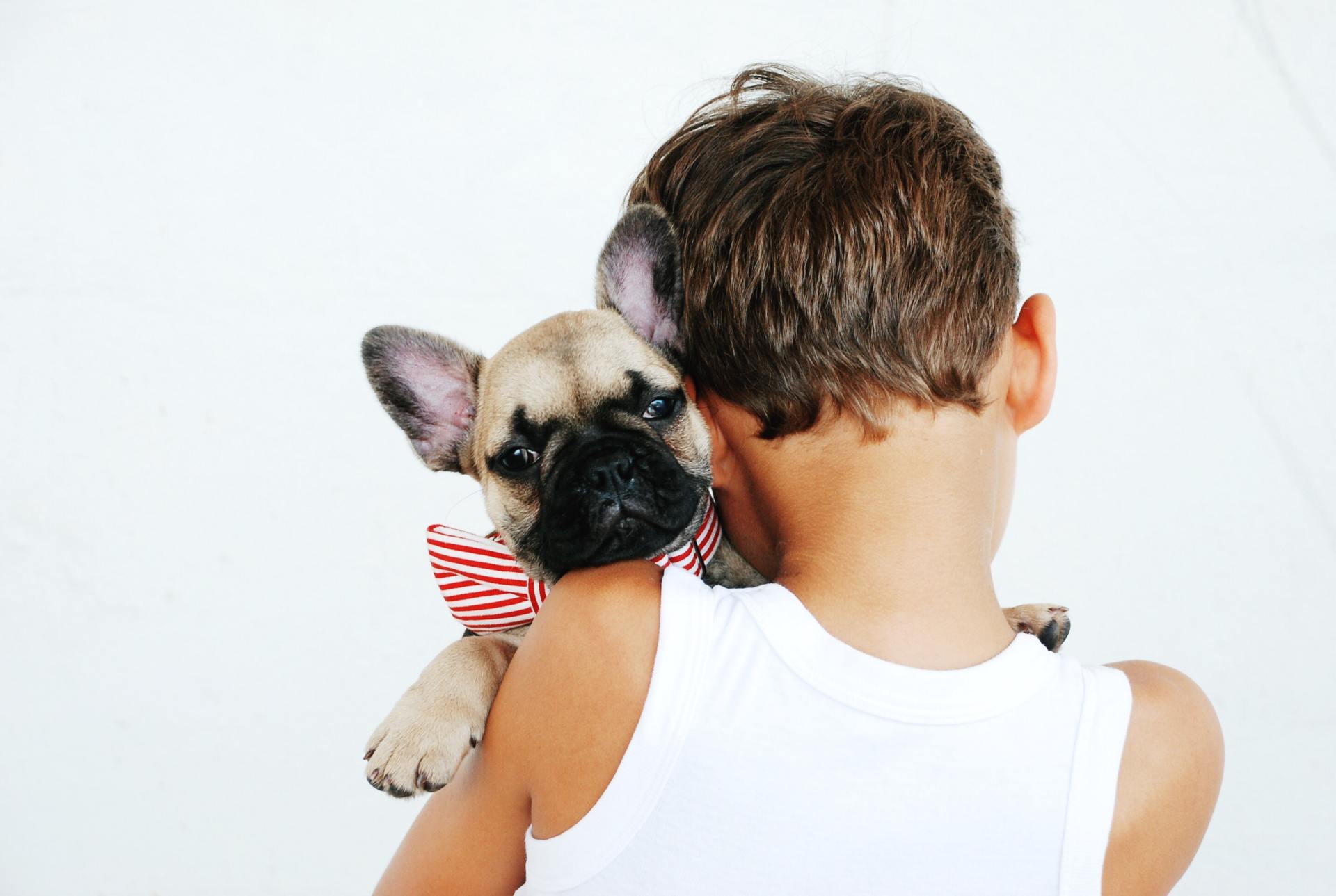 boy holding a dog