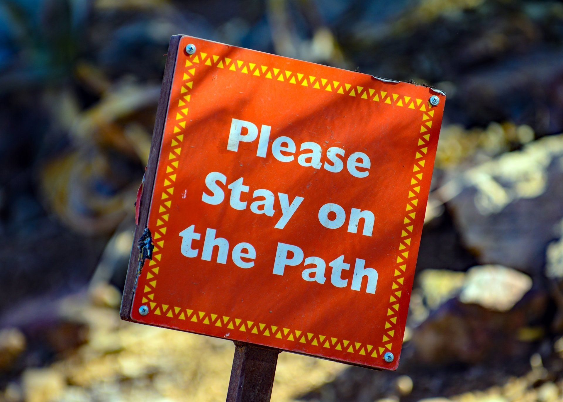 Simple Rules For Digital Transformation