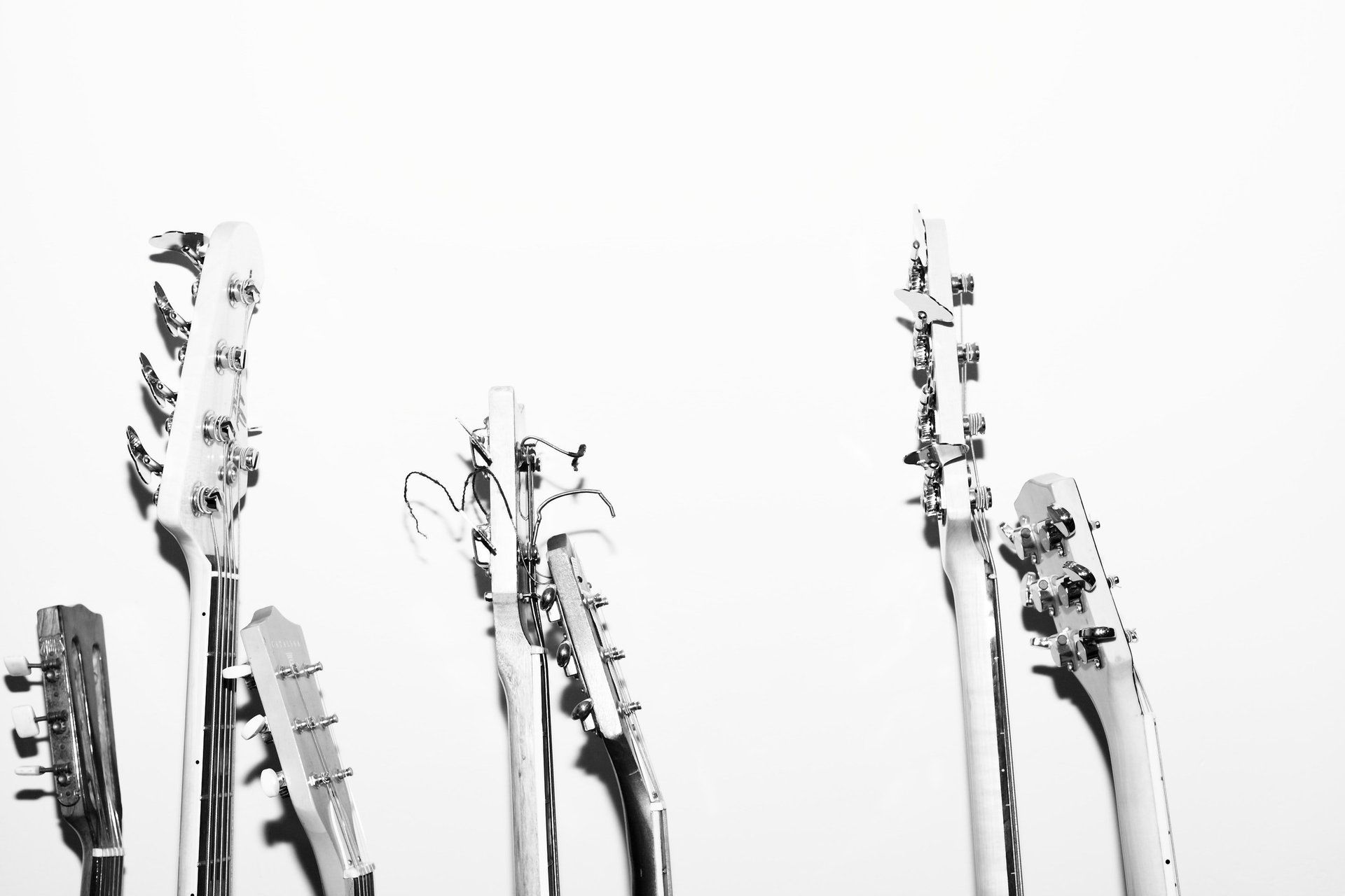 a black and white photo of a row of guitars against a white background .