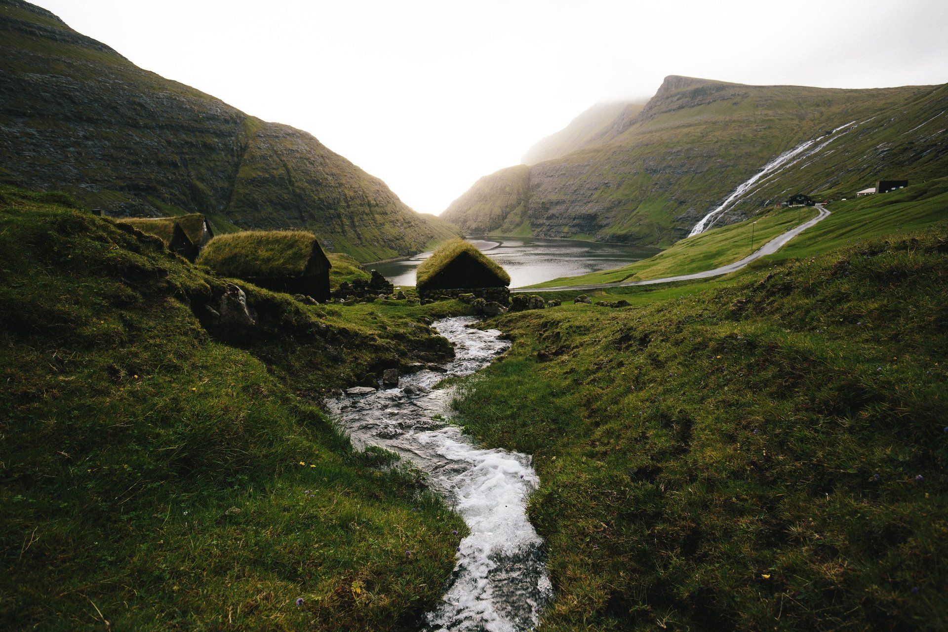a stream flows through a lush green hillside