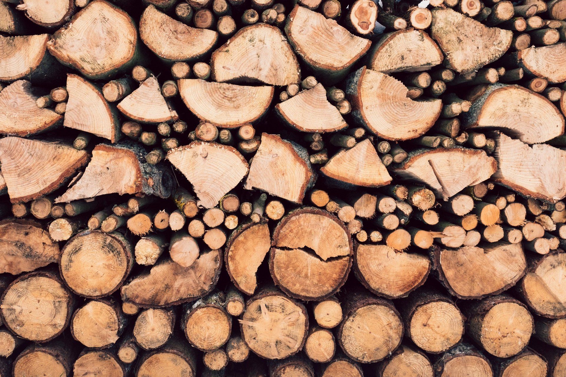 log home wood