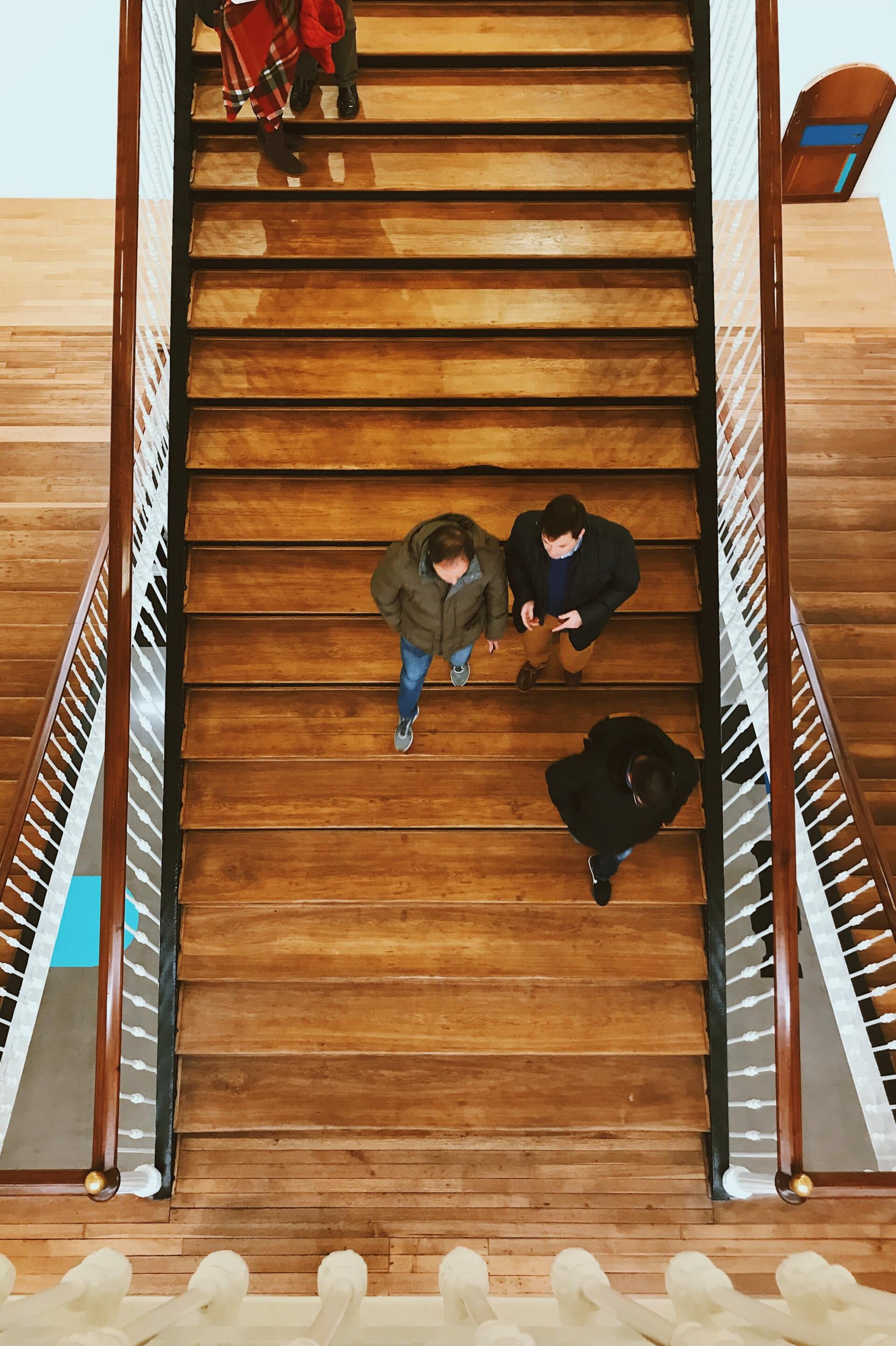 Koka apdares restaurācija, Durvis Trepes Parkets Sijas