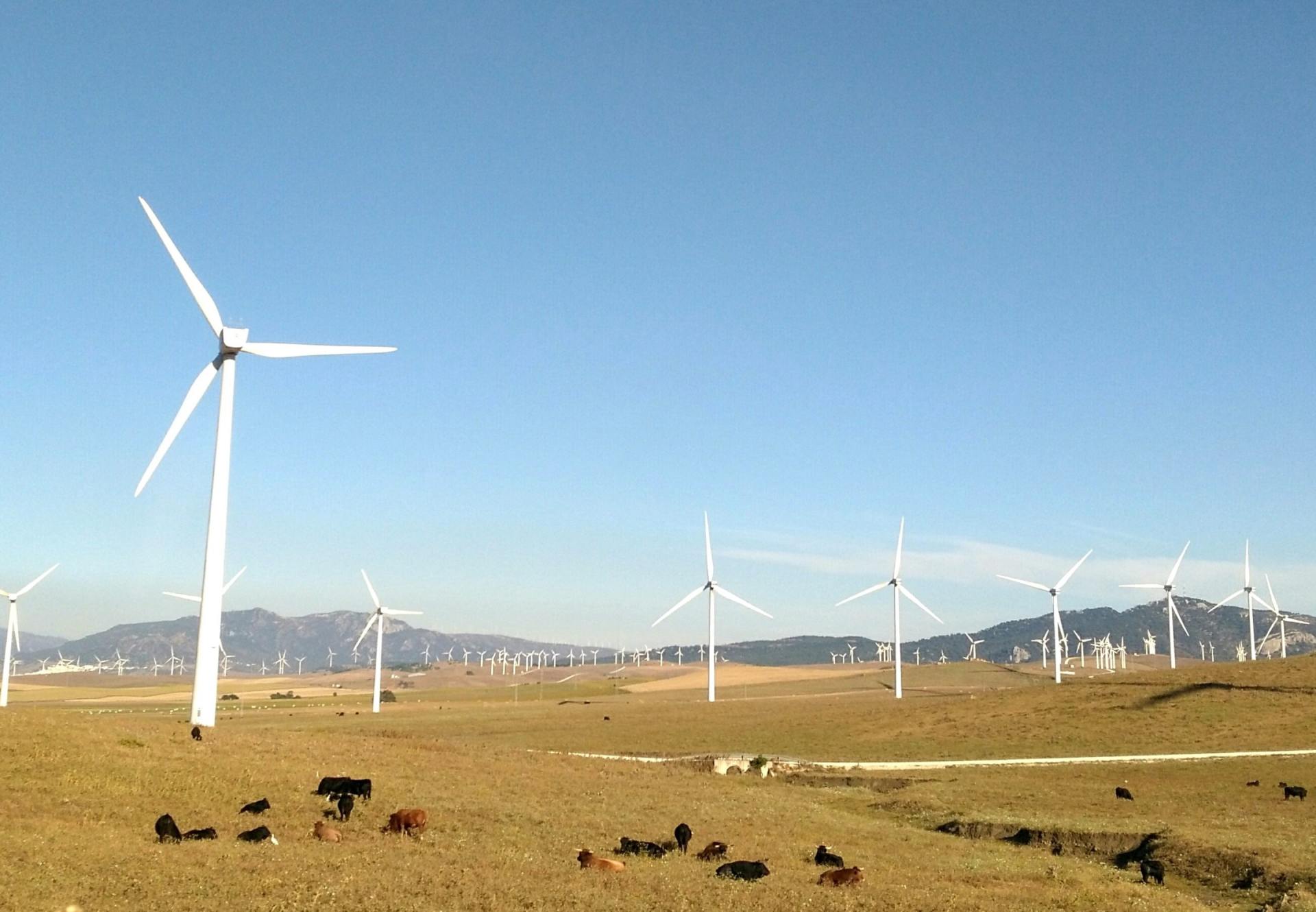 Wind Farm Protection