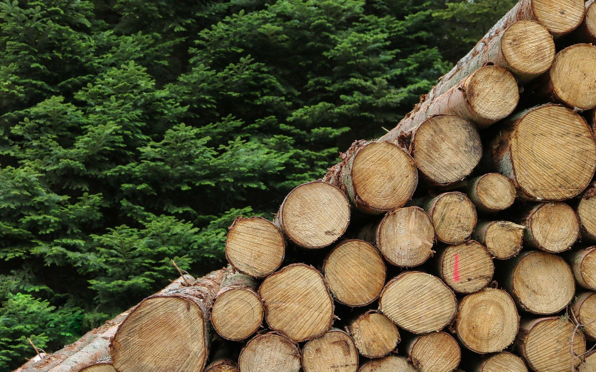 We use the finest slow-grown Scandinavian wood.