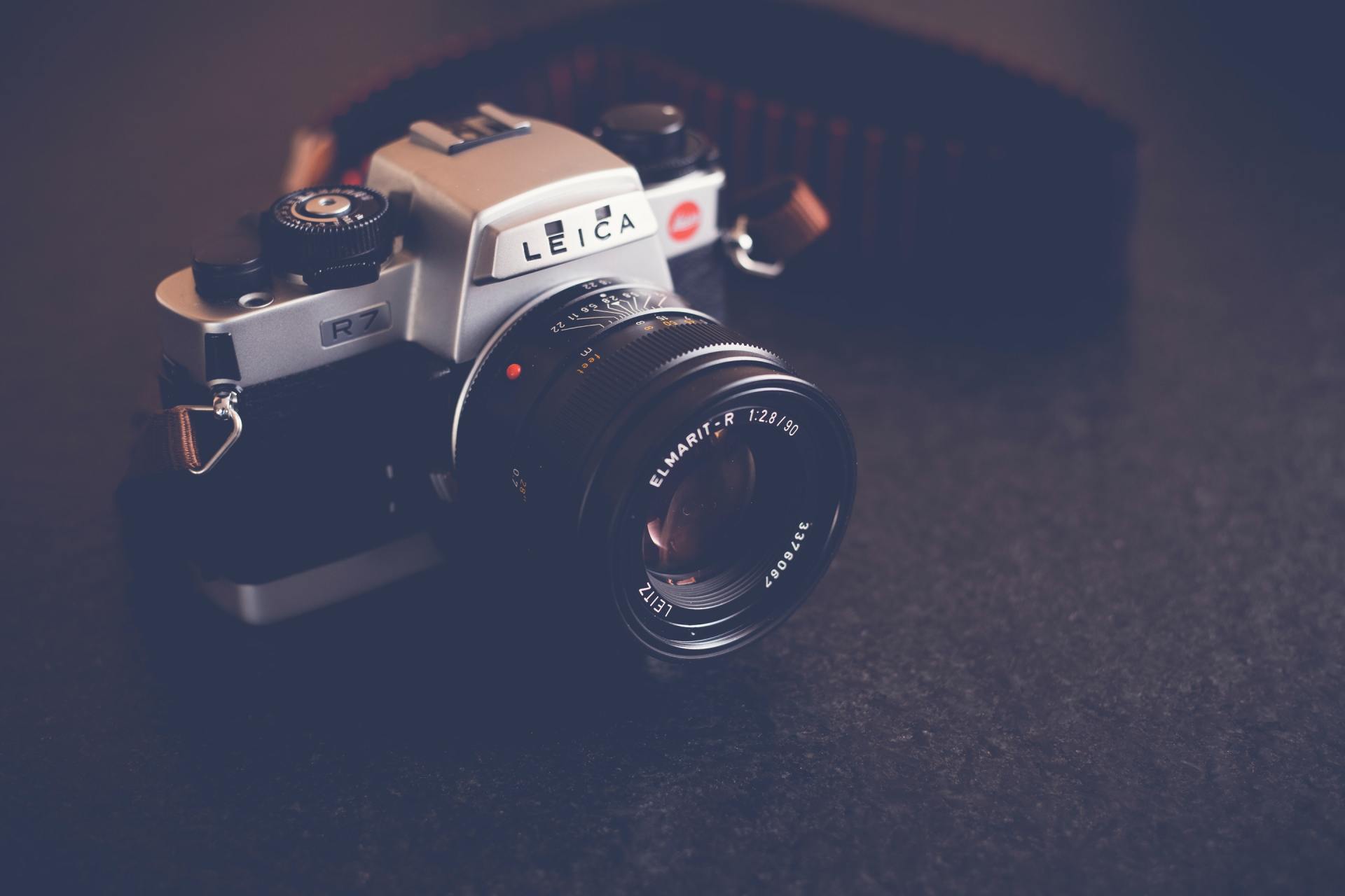 Photograph