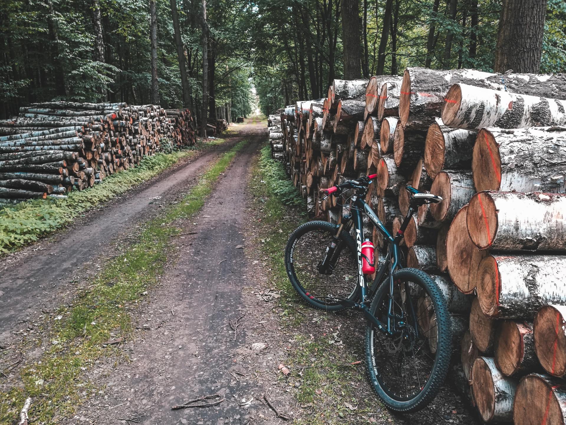 A bicycle is parked next to a pile of logs on the side of a dirt road.