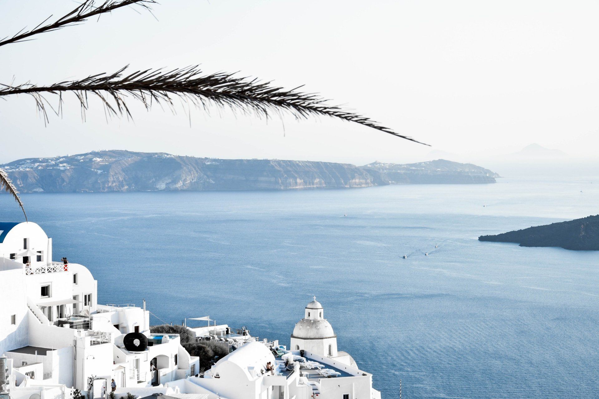 A view of a city overlooking the ocean with a tree branch in the foreground.