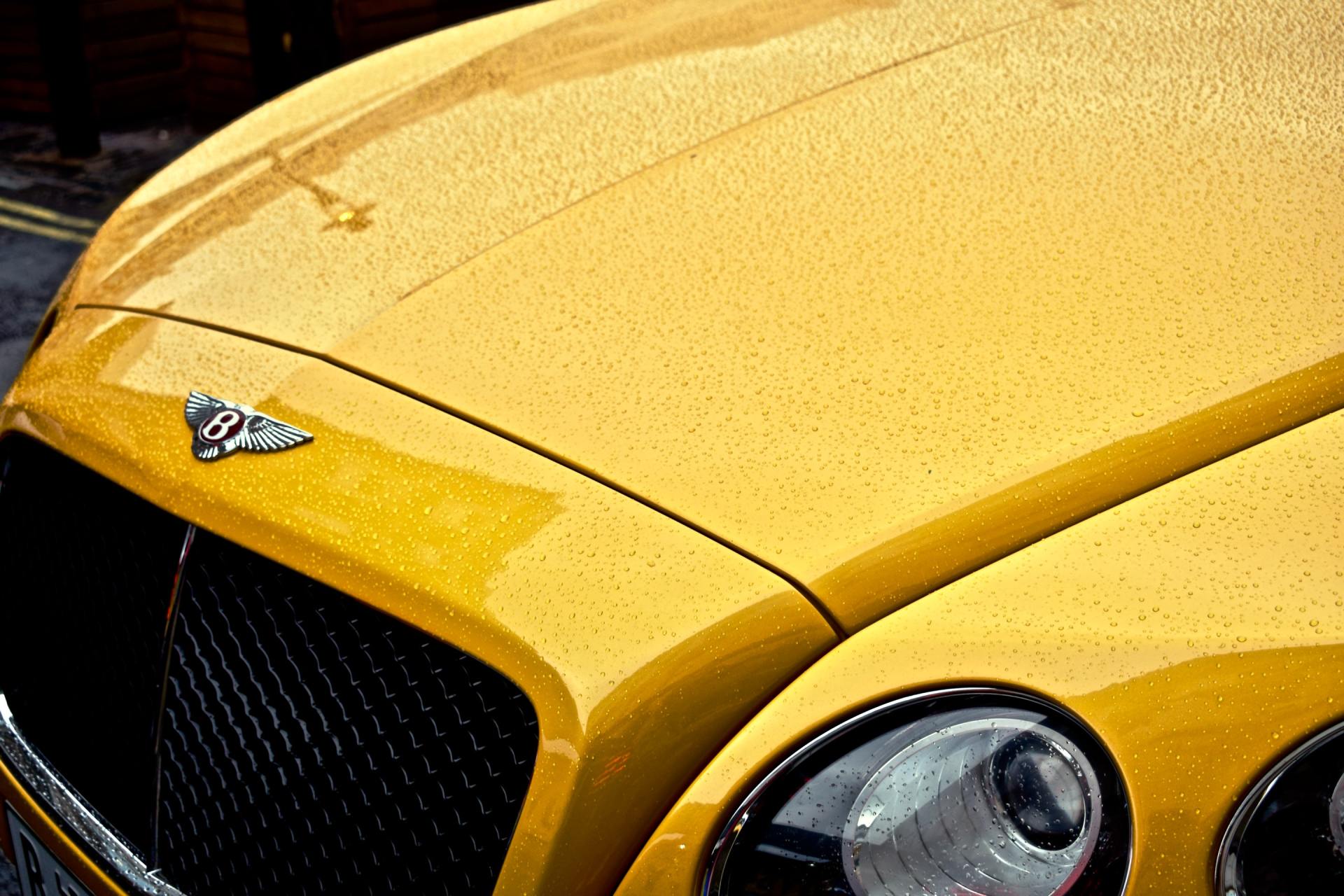 yellow Bentley hood close up