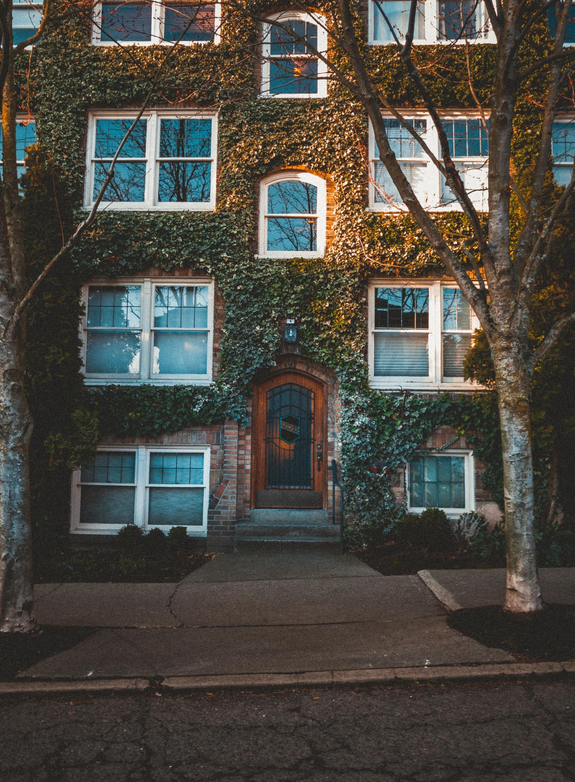 A house with a wreath on the door is covered in ivy.