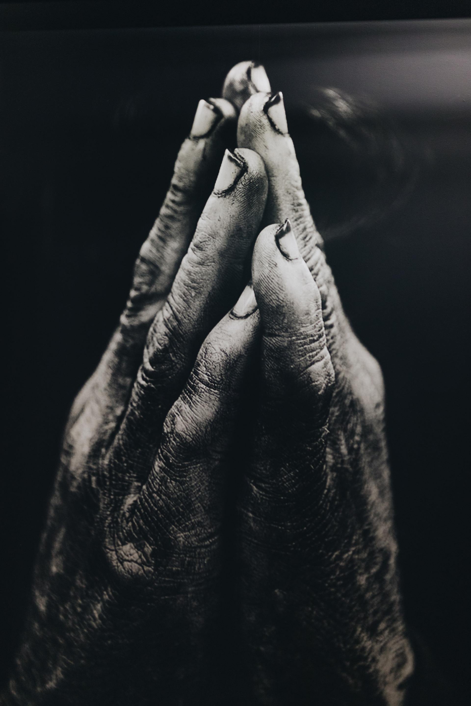 Hands clasped together in prayer, black and white. Wrinkled skin, against a dark background.