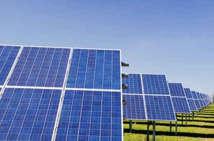 Solar farm with solar panel