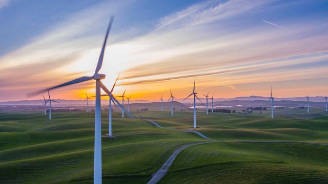 Sustainability Matters