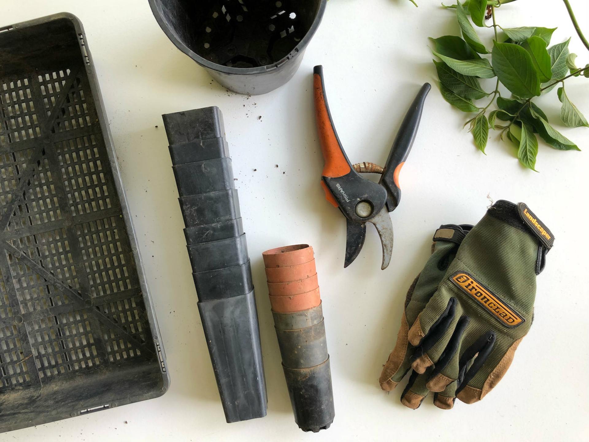 Garden tools, empty planters, pruning tool, and garden gloves on table.