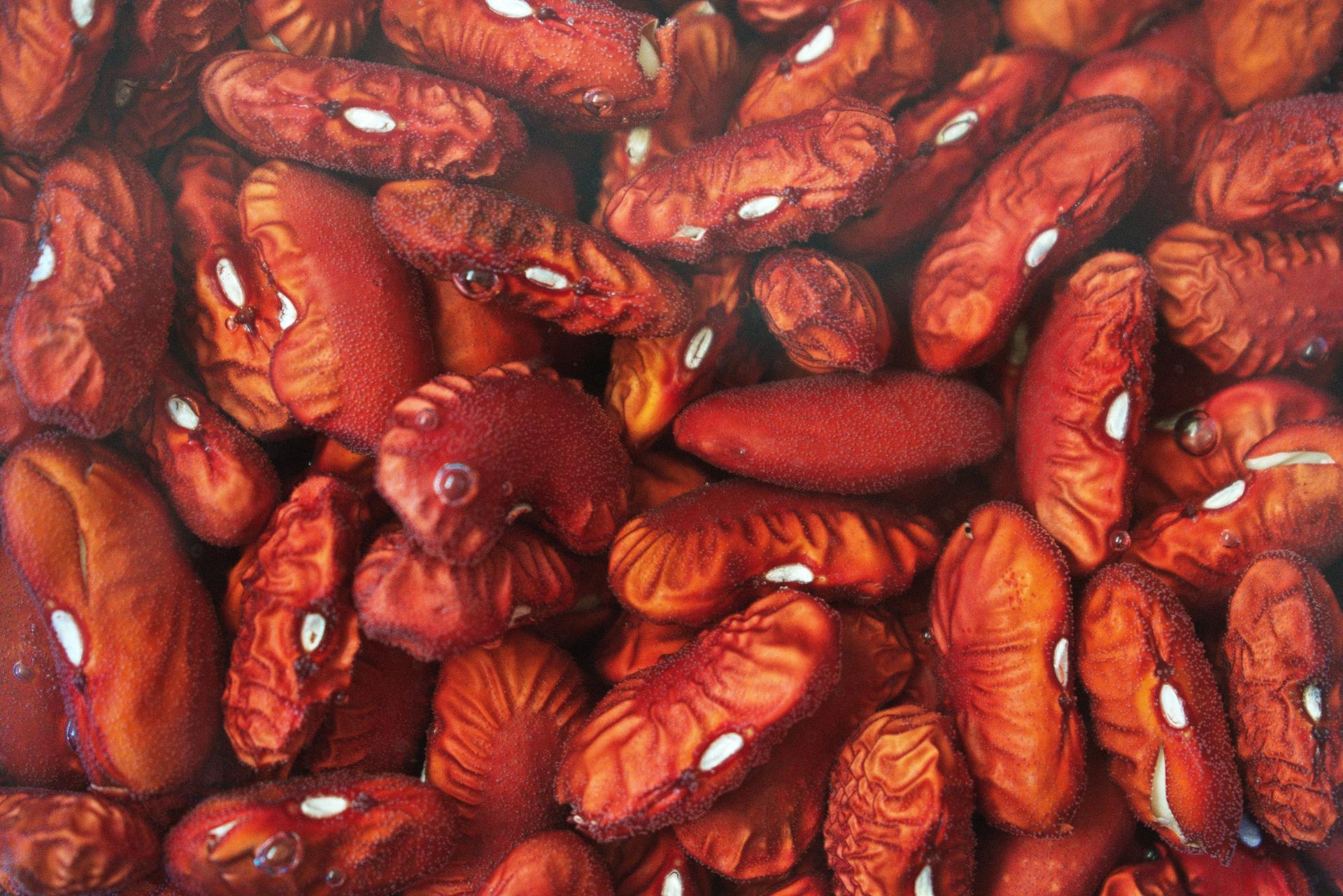 High FODMAP Diet: Kidney Beans