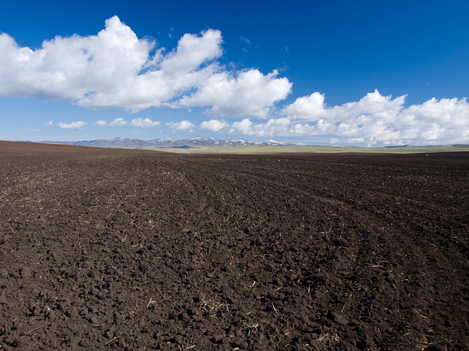 a field with mountains in the background and a blue sky with clouds