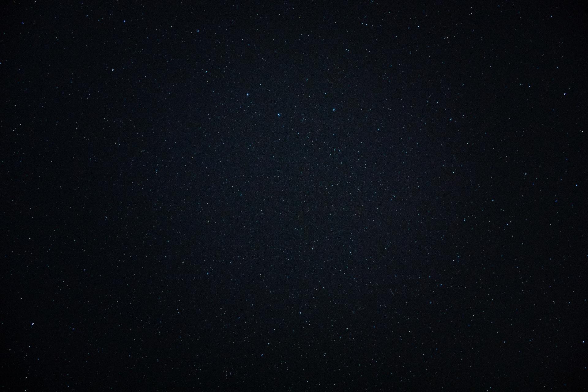 There are many stars in the night sky.