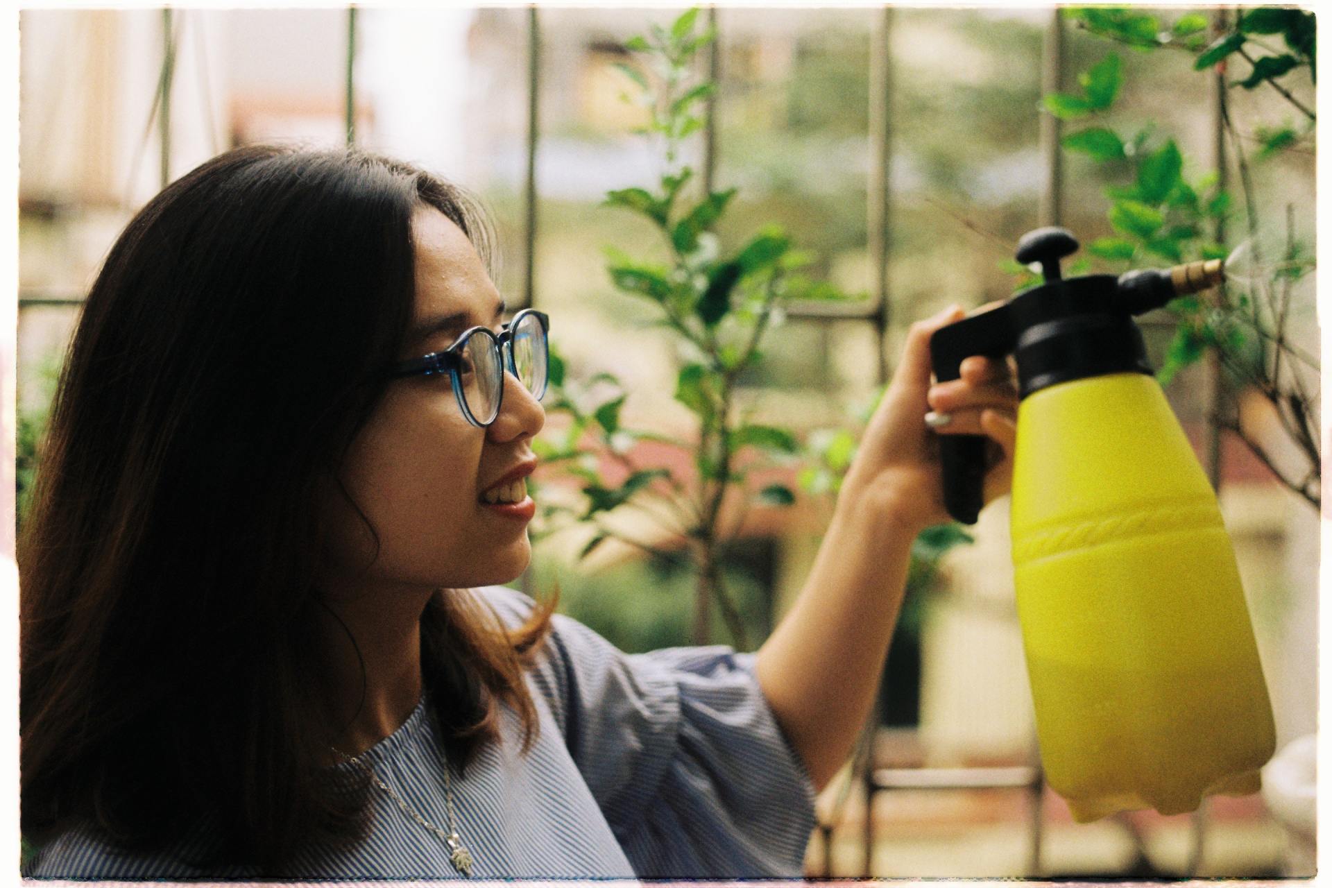 Woman spraying herbicide on plantings.
