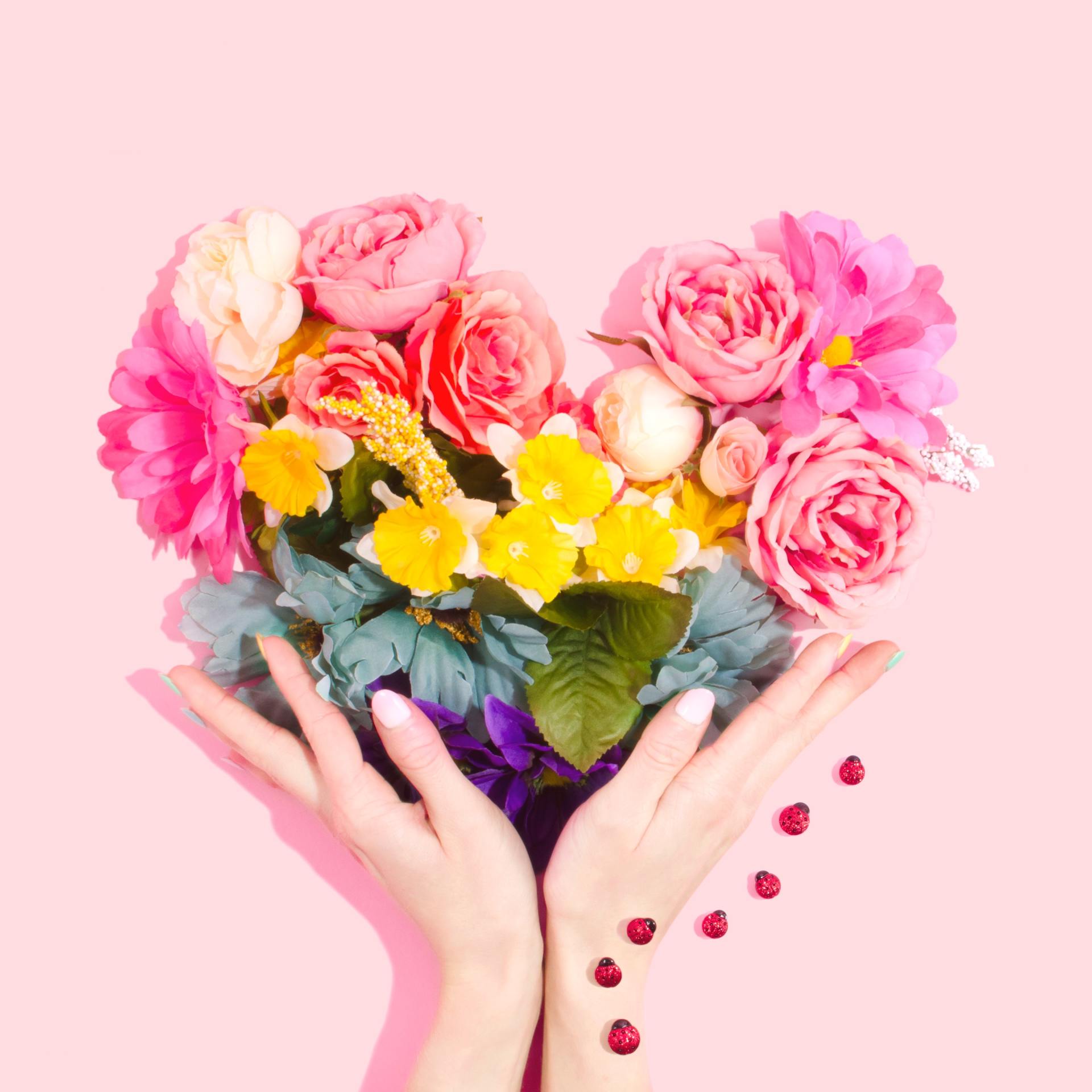 flowers held by two hands on a pink background