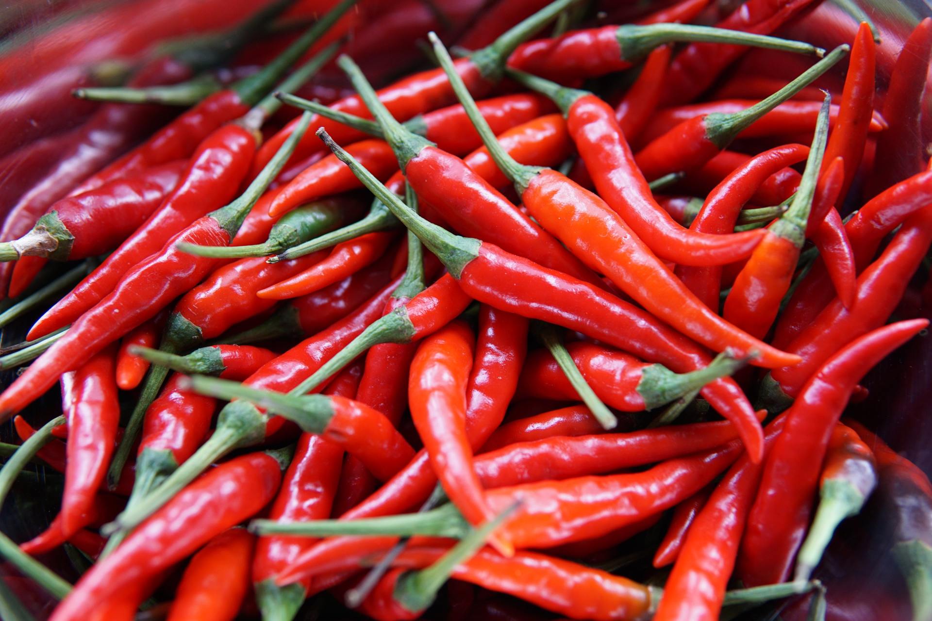 A pile of red chili peppers with green stems