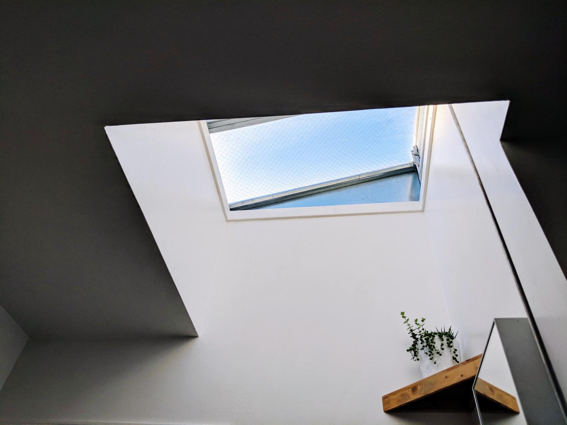 5 Alarming Signs That Indicate a Skylight Repair Is Needed