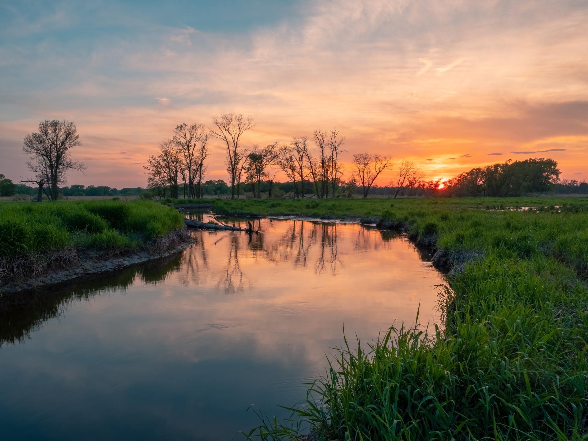 hear-kae-speak-about-wetland-mitigation-and-conservation-banking