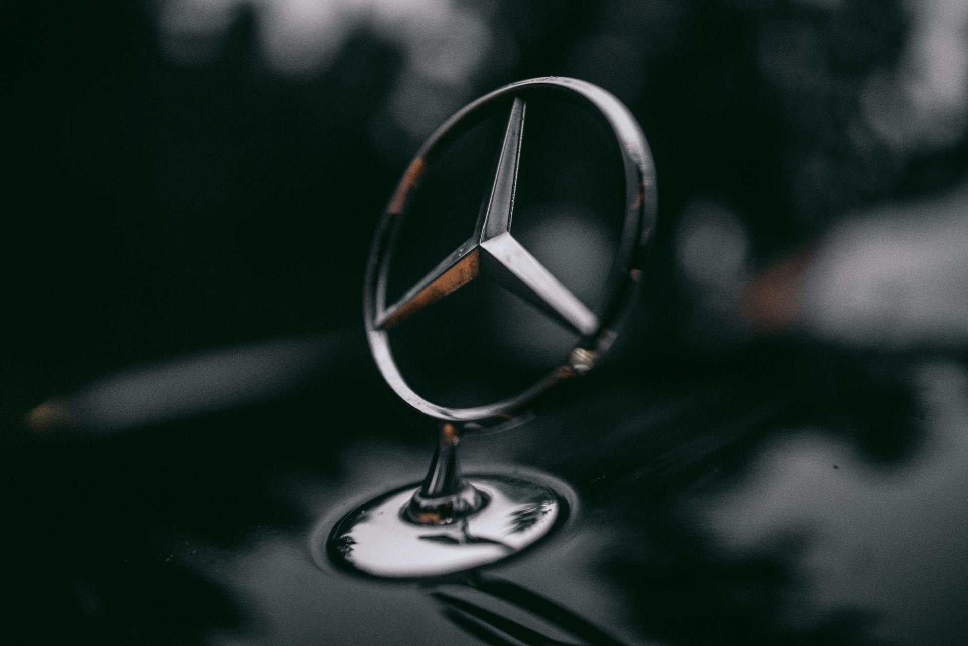 A close up of a mercedes benz logo on the hood of a car.