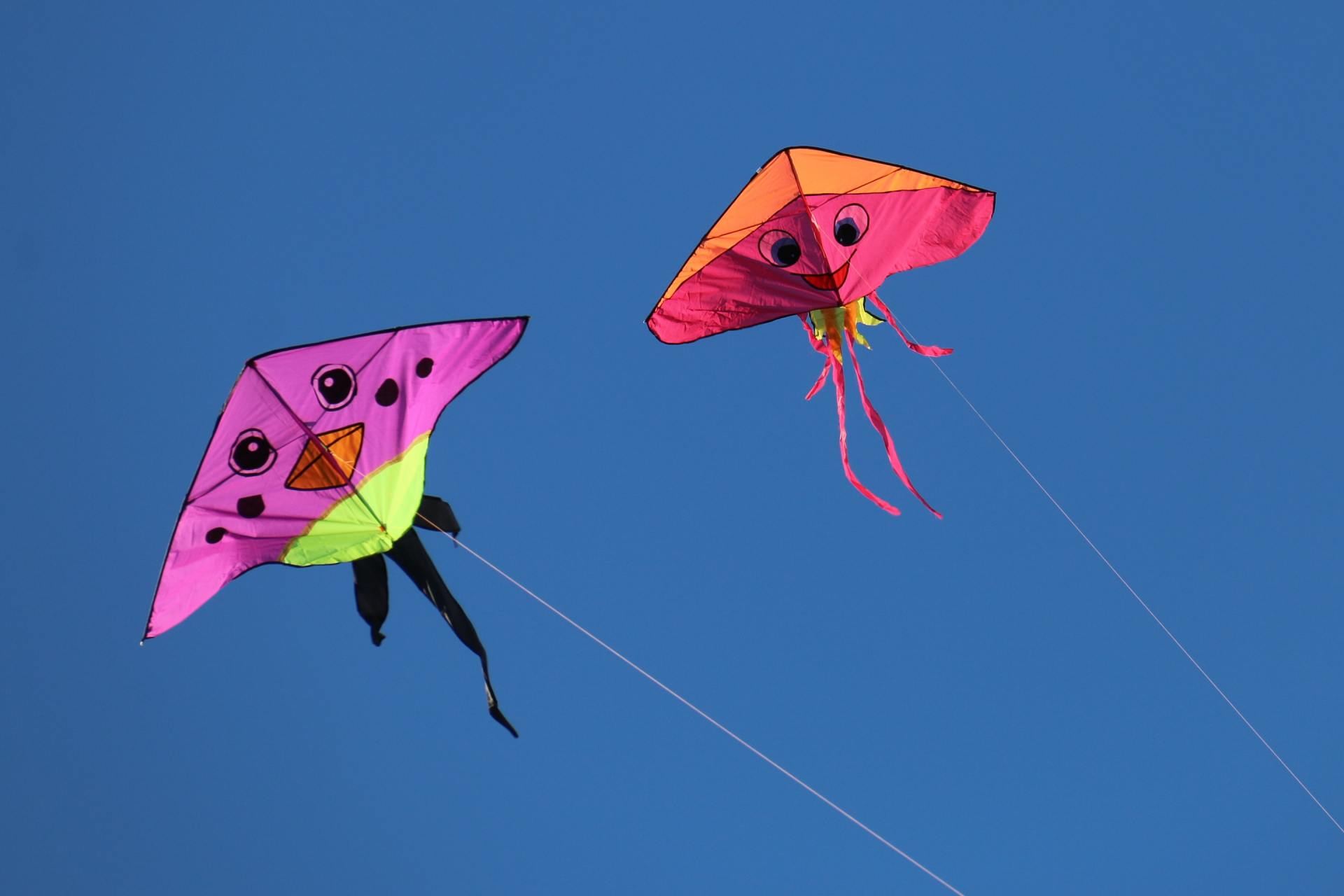 Flying a stunt kite at Westward Ho! beach in devon