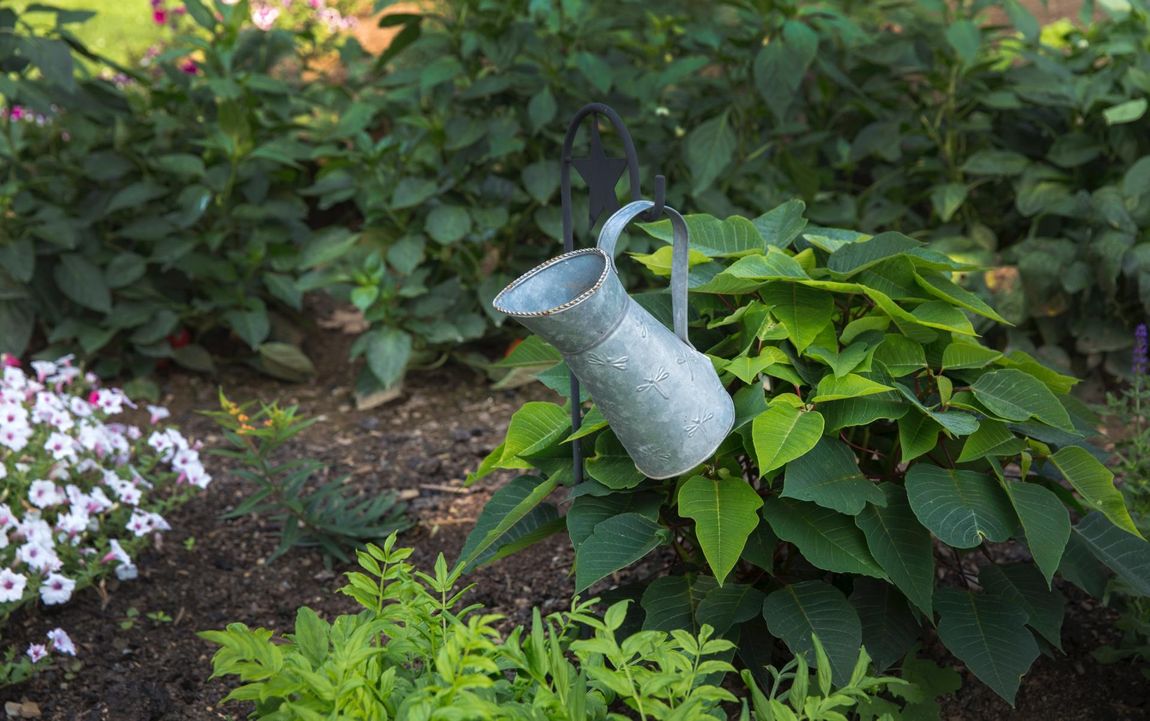 gardener-march-watering-can
