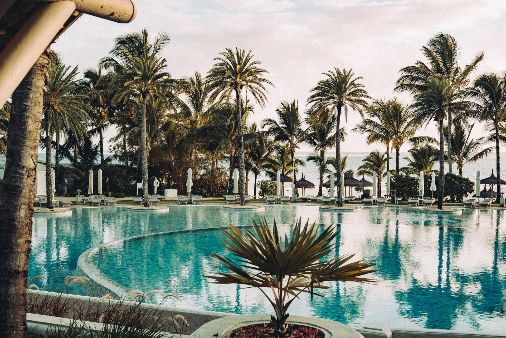 A large swimming pool surrounded by palm trees at a resort.