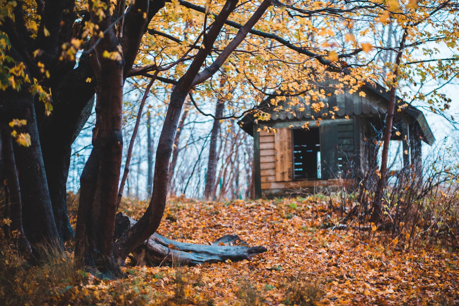 landlord and tenants