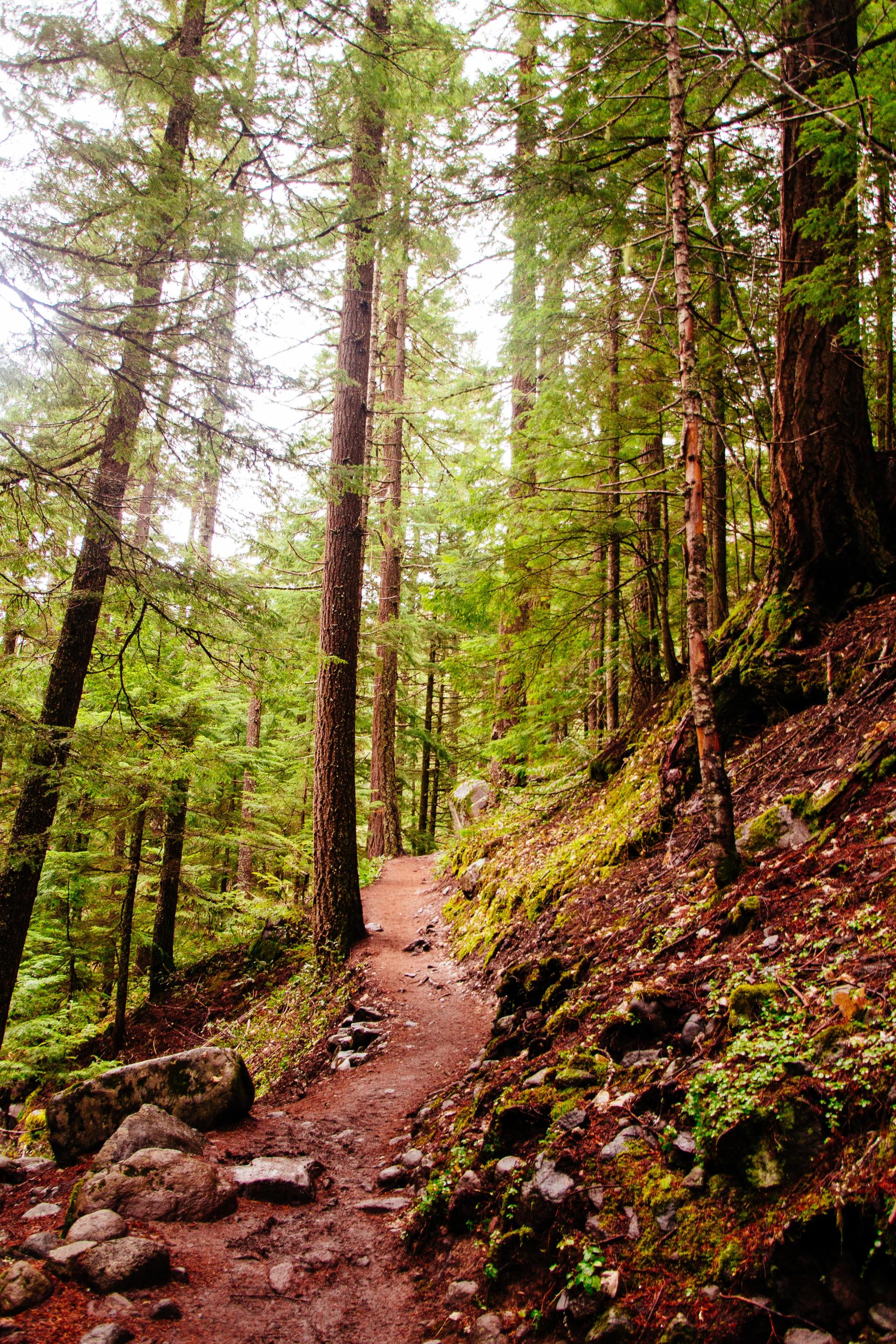Swedberg Taylor Funeral Home Obituaries - ip70e9k