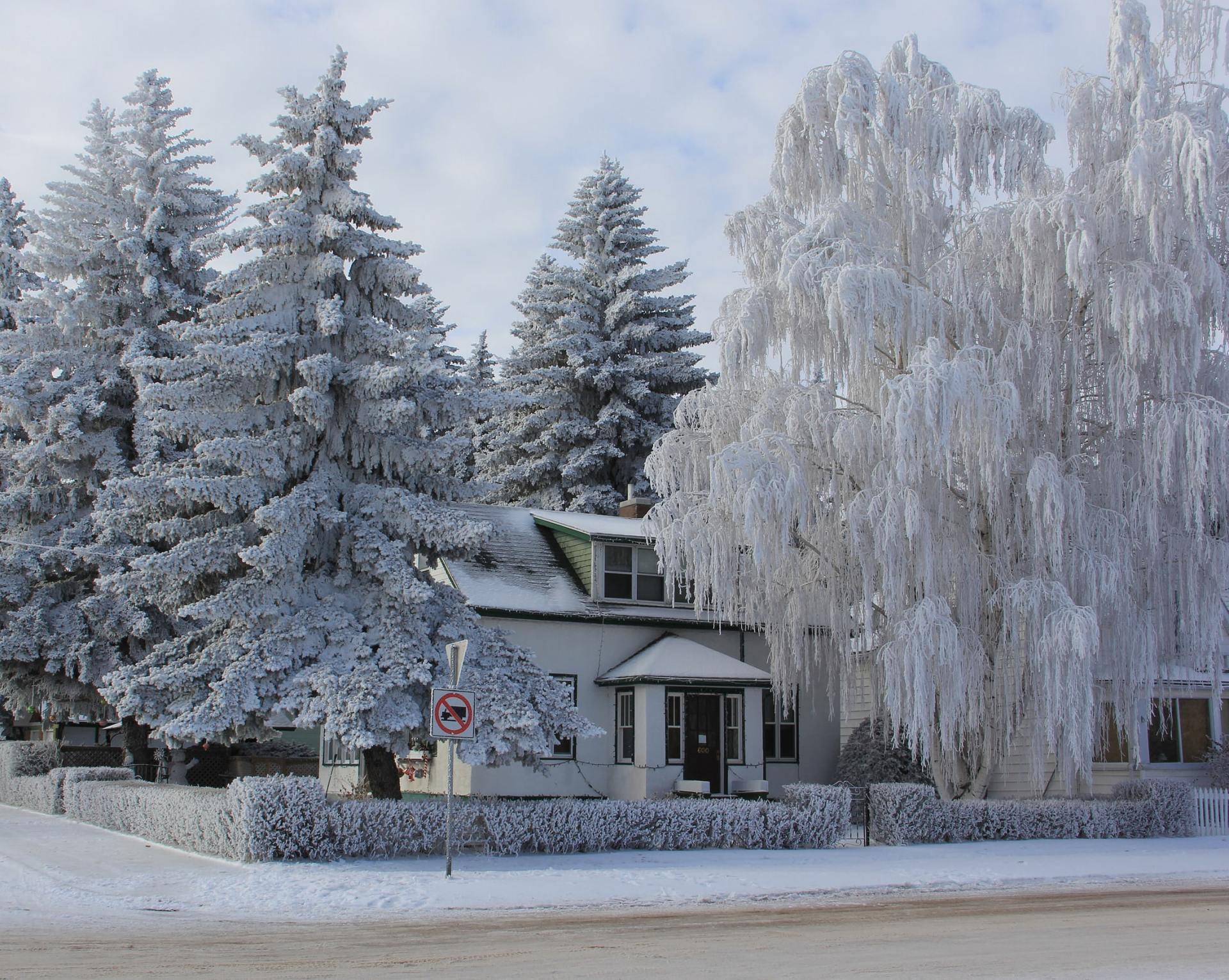 A snowy landscape with a house in the foreground and trees in the background