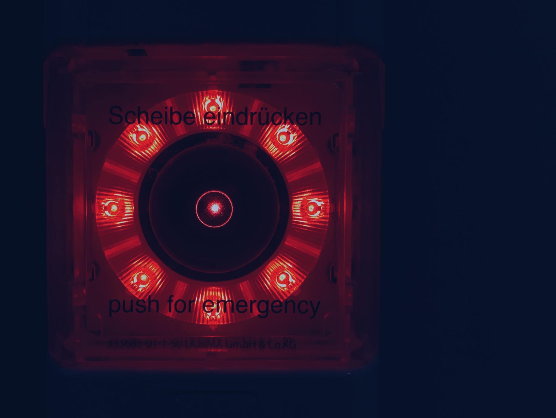 Todo lo que la película Roma y su éxito con Netflix nos enseña a quienes trabajamos en México