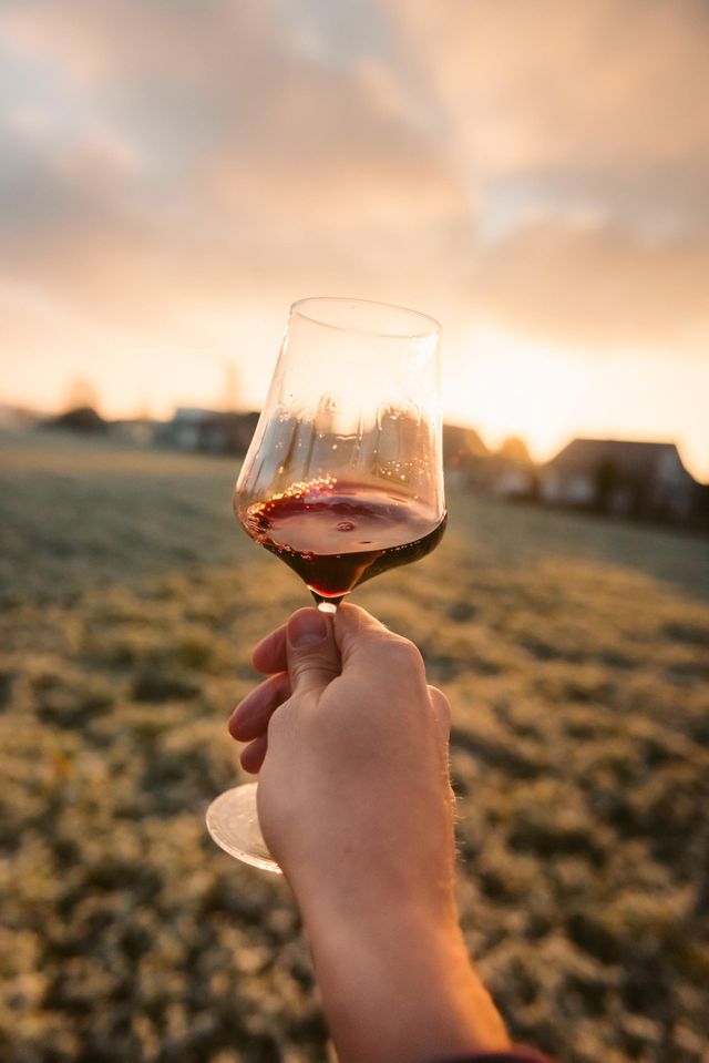 Vineyard Red Wine Glasses