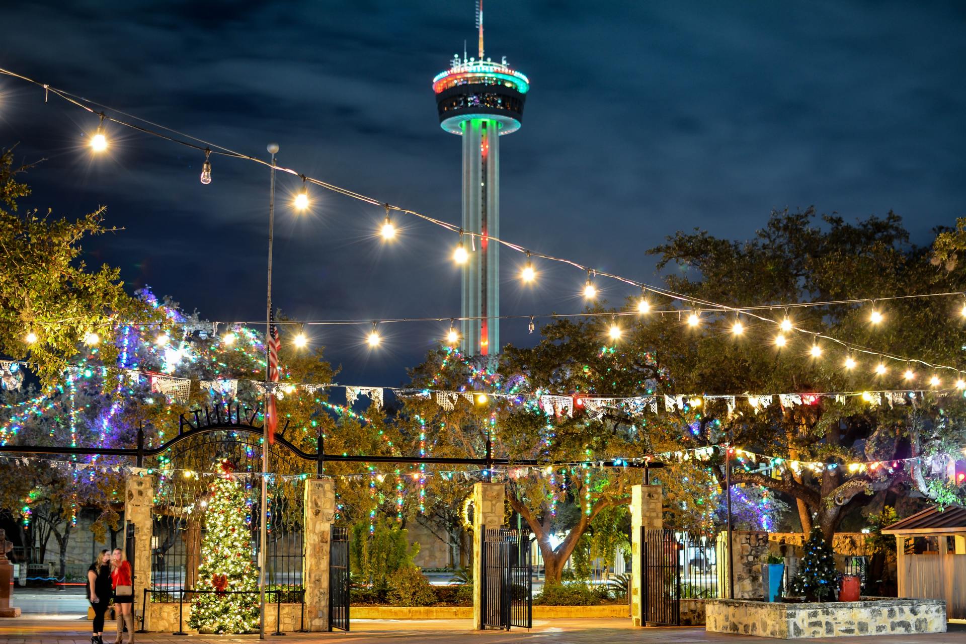A christmas tree is in front of a ferris wheel at night.