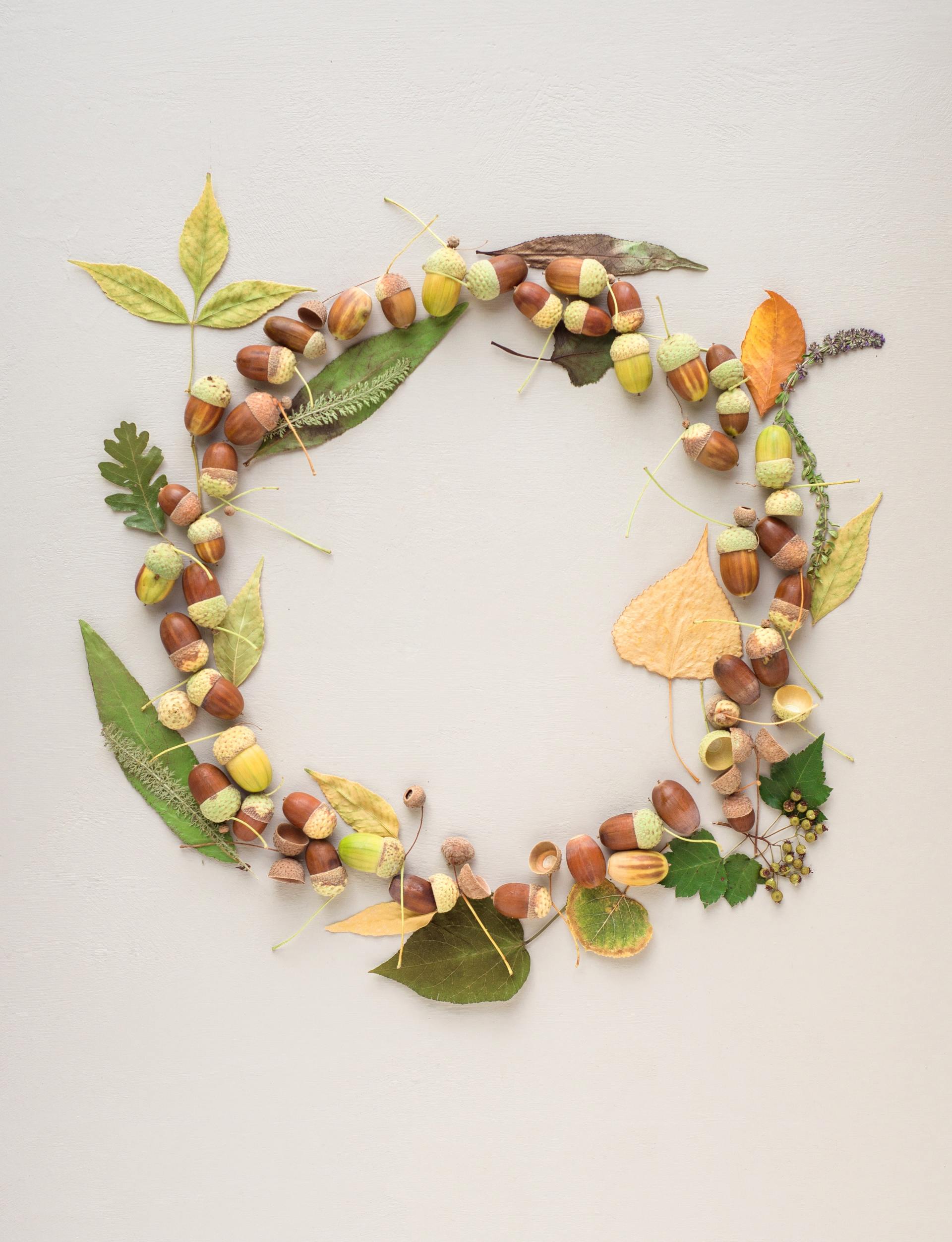 A wreath made of nuts , leaves and acorns on a white background.