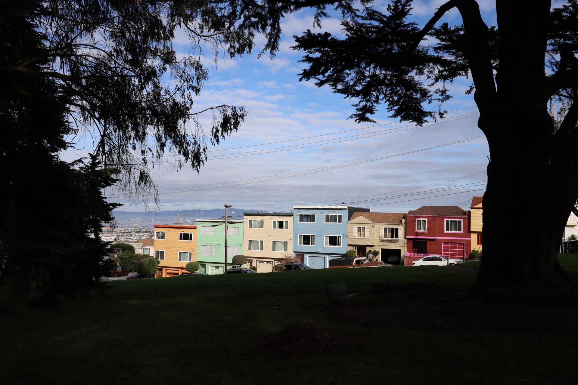 A row of colorful houses with a tree in the foreground